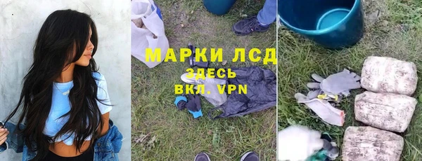 PSILOCYBIN Балахна